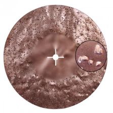 Disco Bifaccia G.24 Carburo di Tungsteno - Maxititina Raimondi